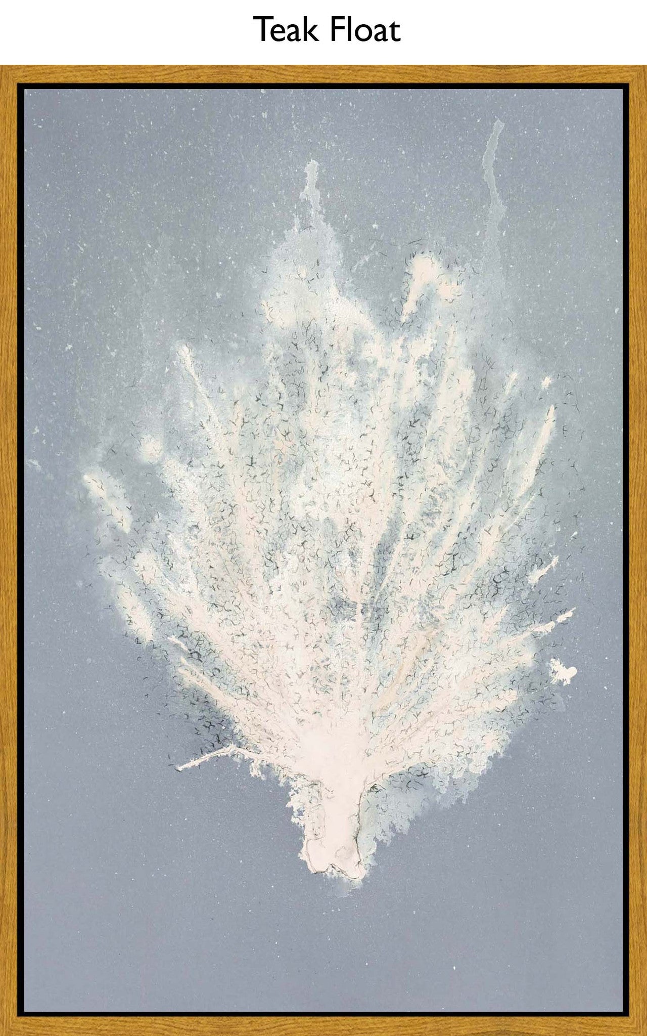 Teak Float