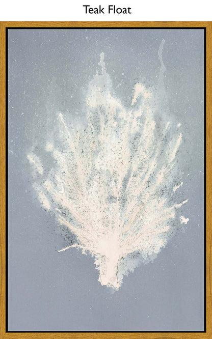 Teak Float