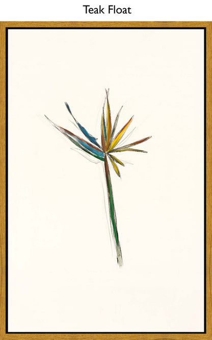 Teak Float