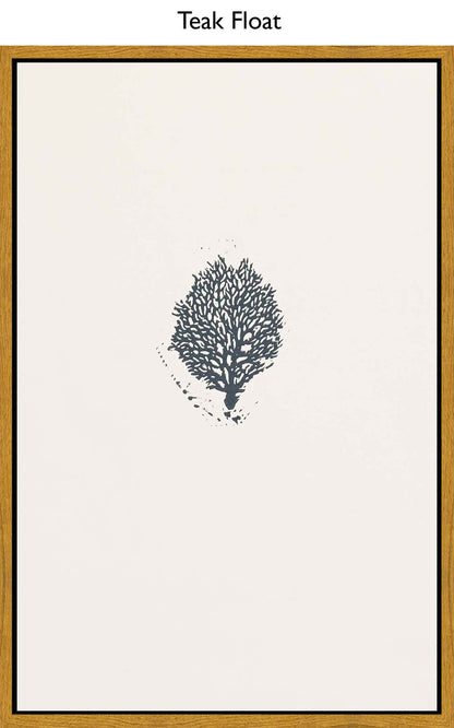 Teak Float