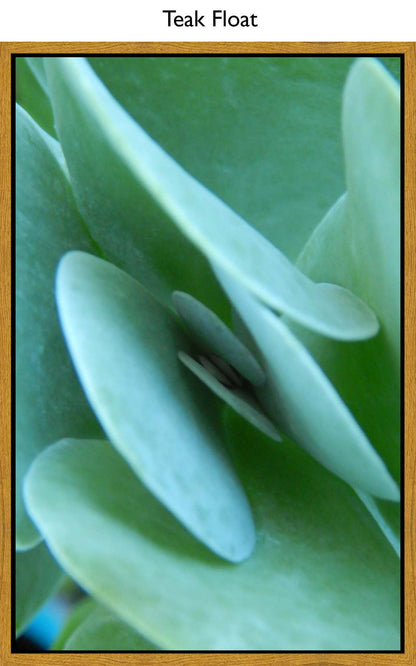 Teak Float