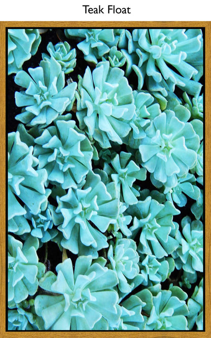 Teak Float