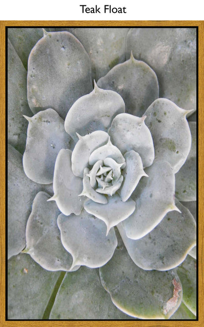 Teak Float