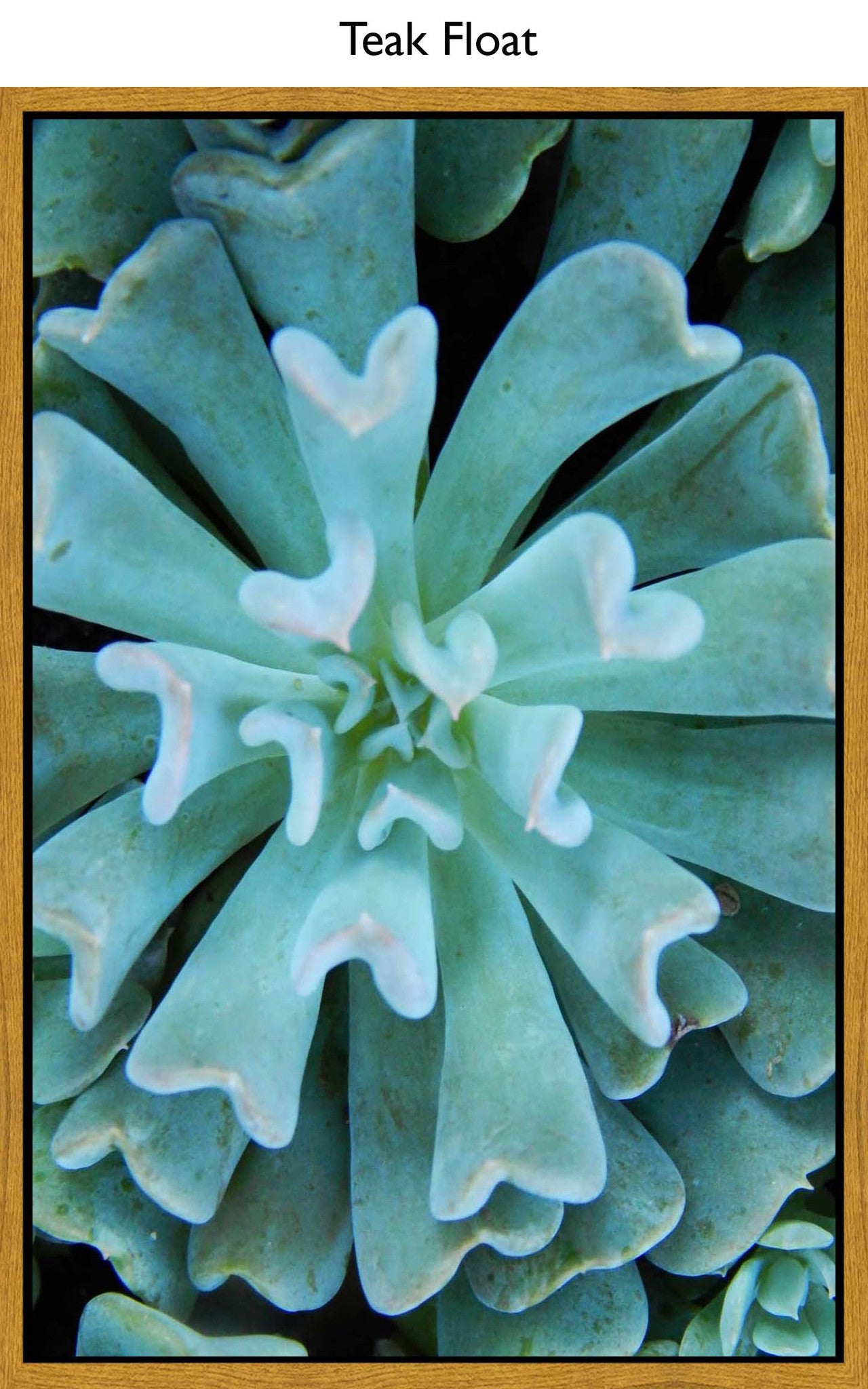 Teak Float