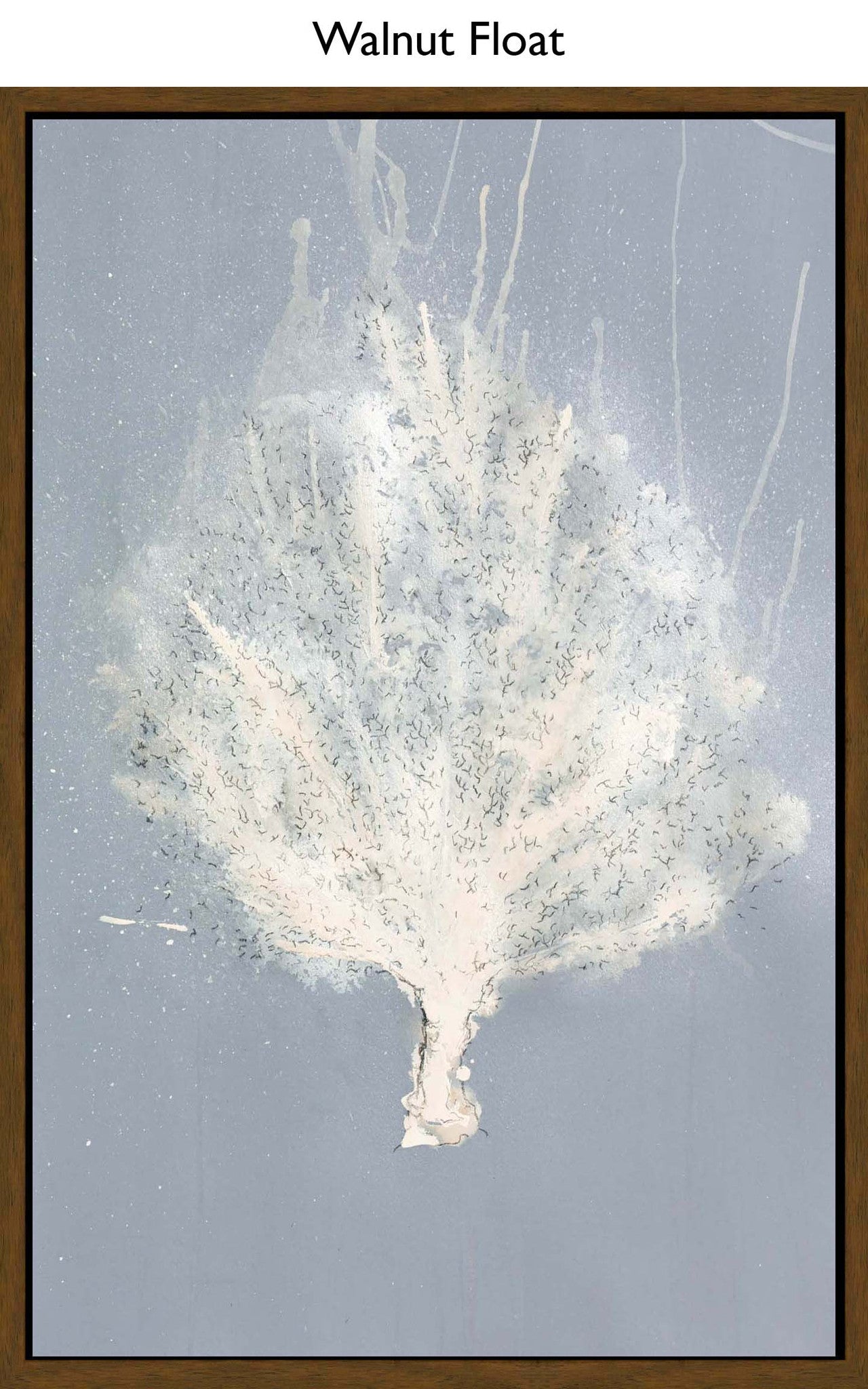 Walnut Float