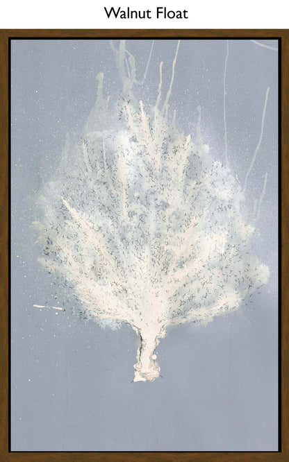 Walnut Float