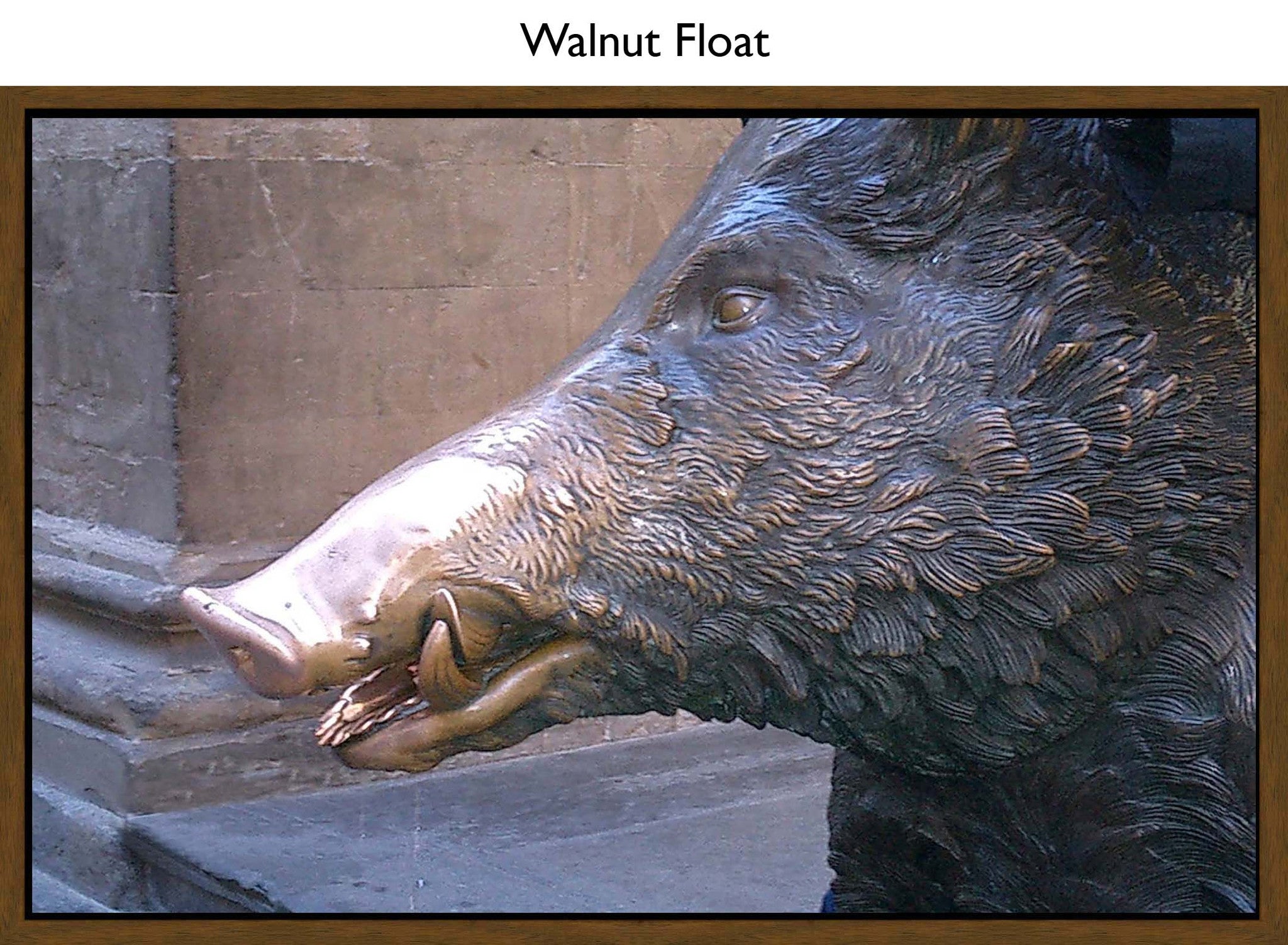 Walnut Float