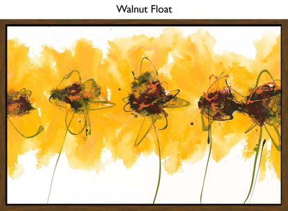 Walnut Float