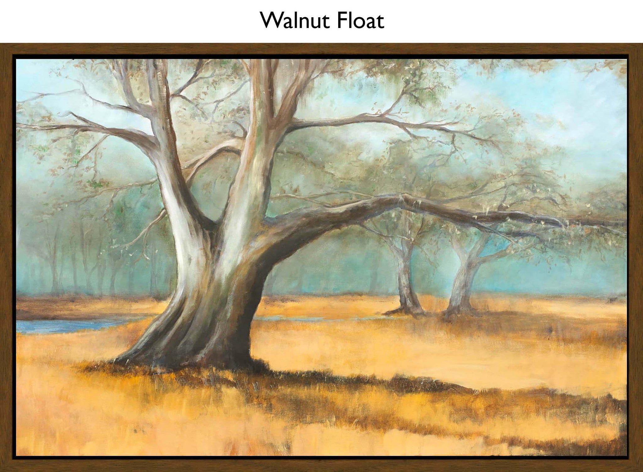 Walnut Float