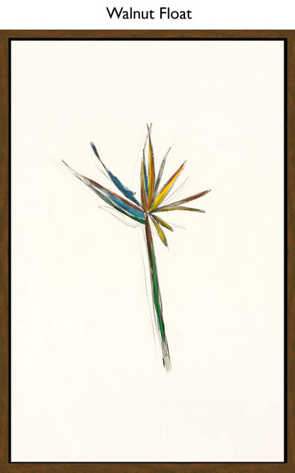 Walnut Float