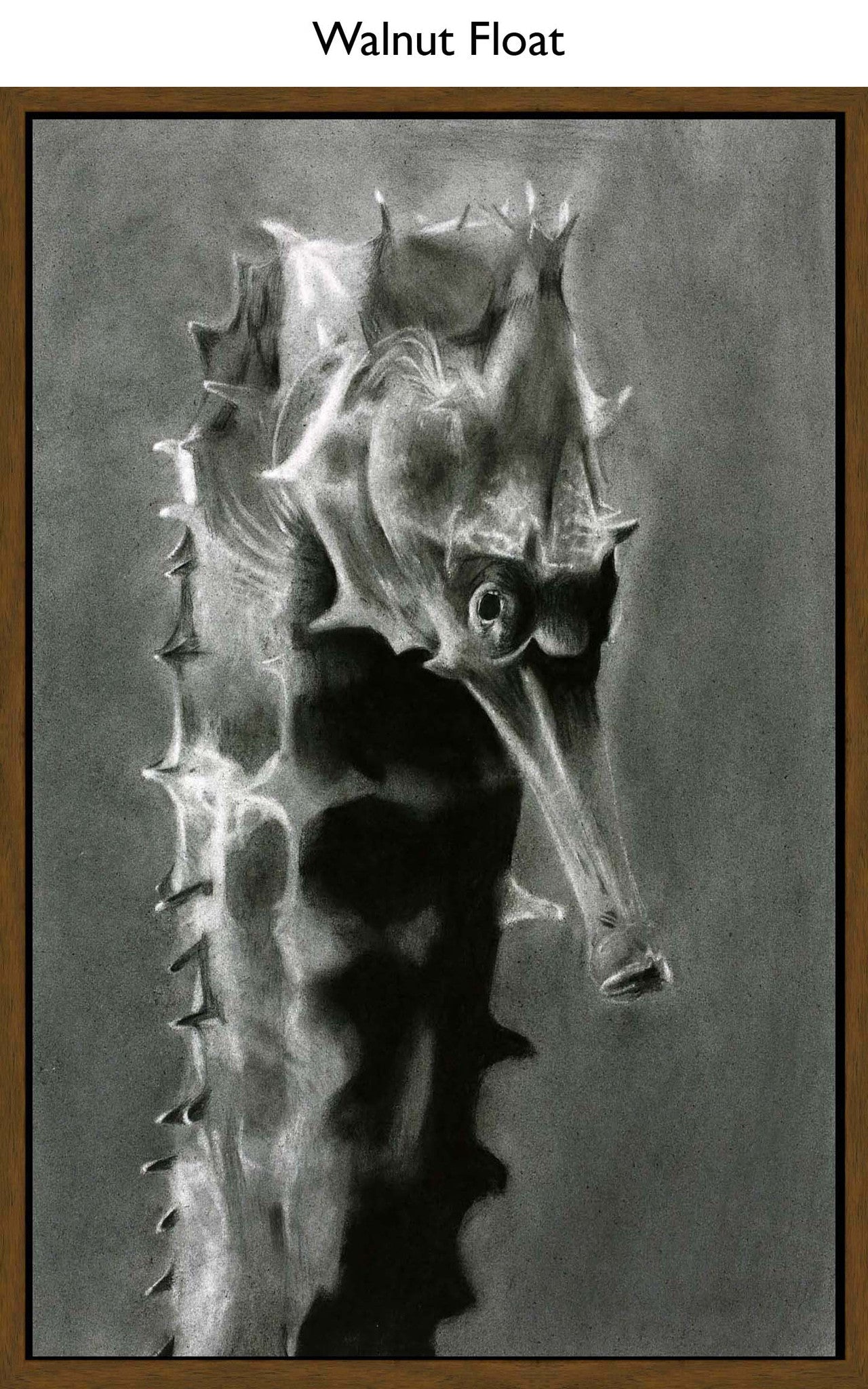 Walnut Float