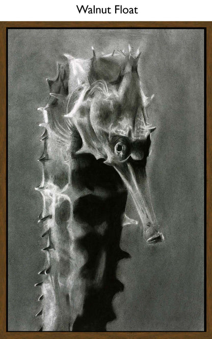 Walnut Float