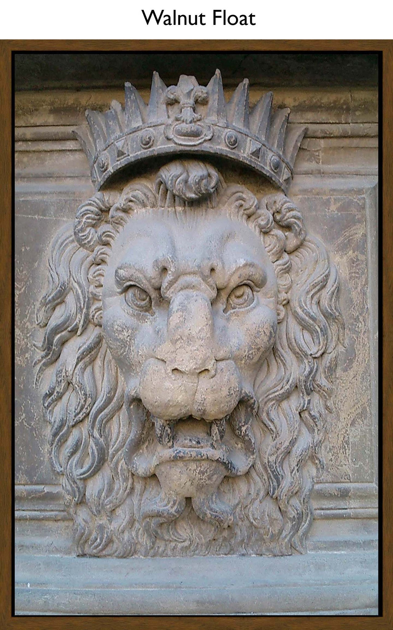 Walnut Float