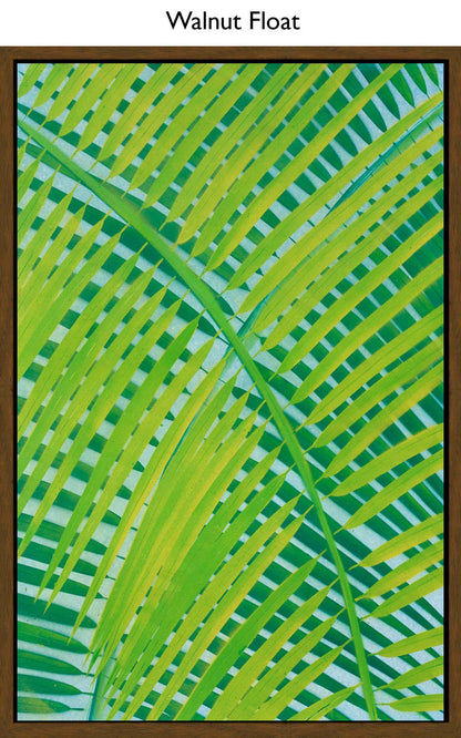 Walnut Float