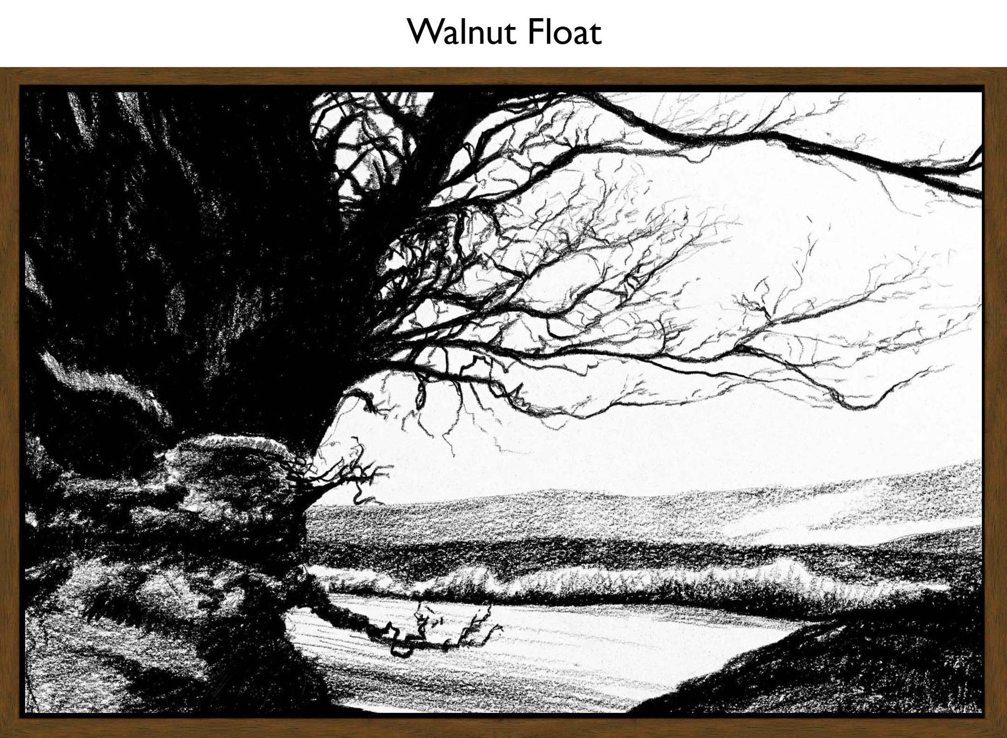Walnut Float