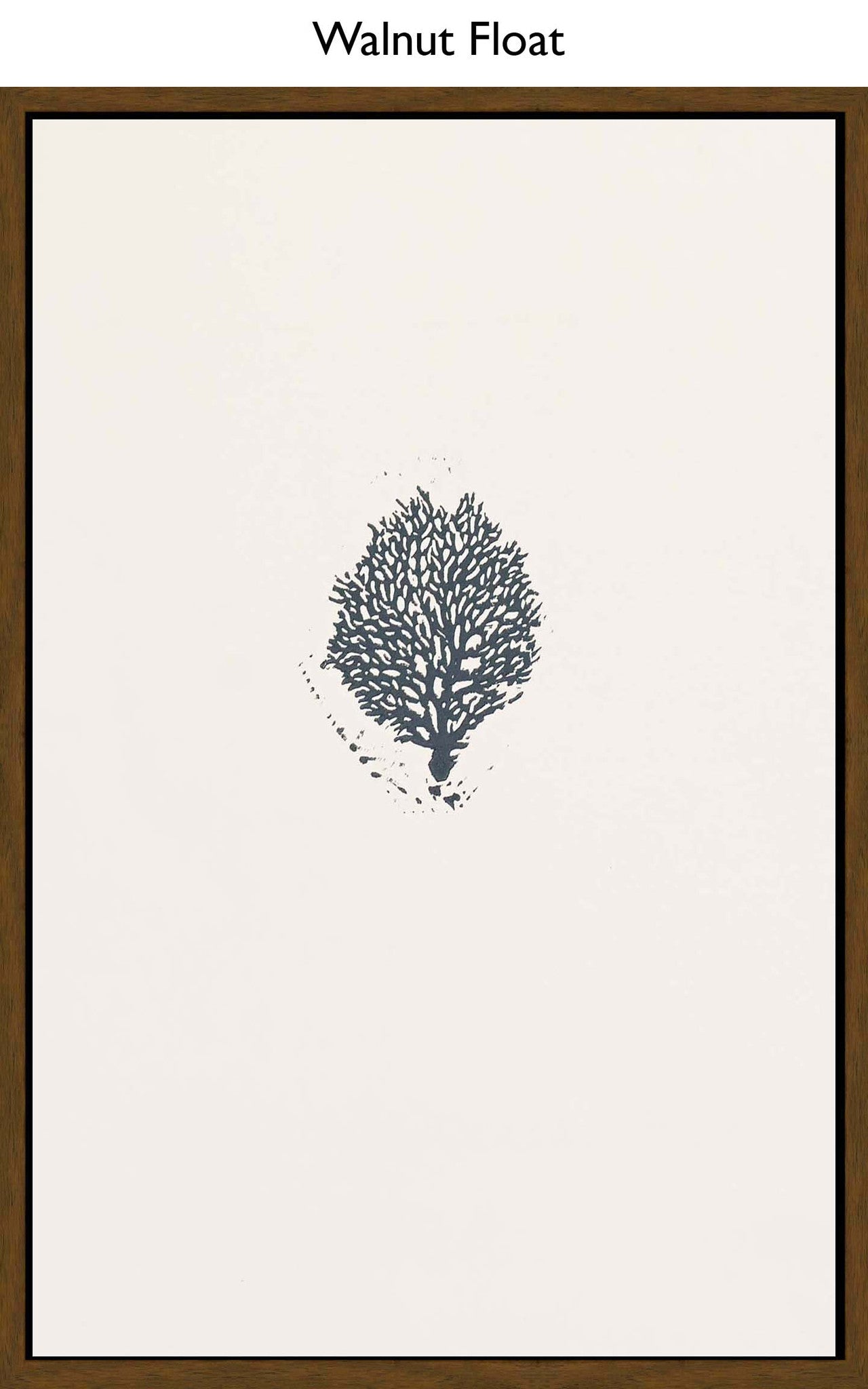 Walnut Float