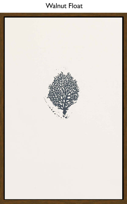 Walnut Float