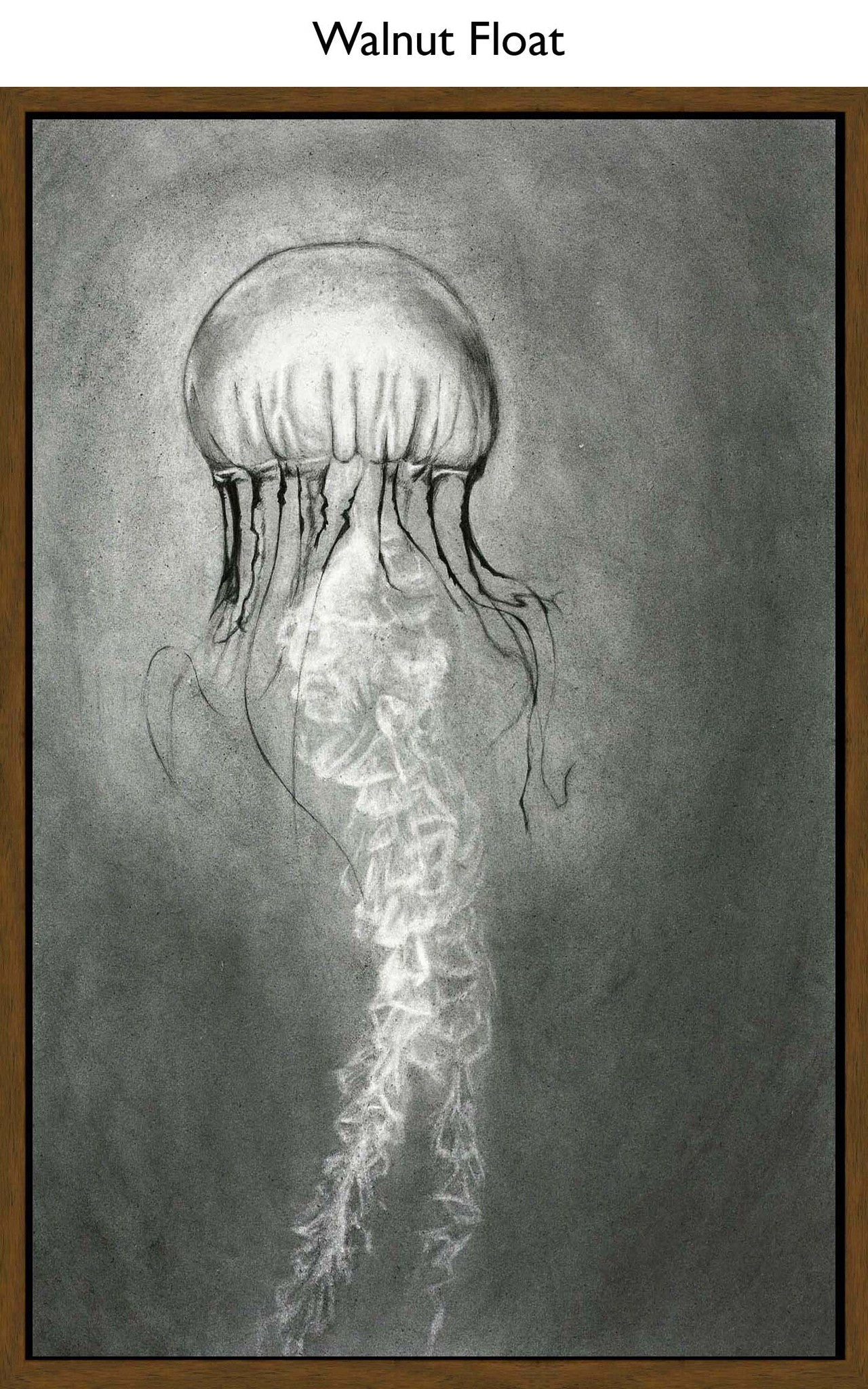 Walnut Float