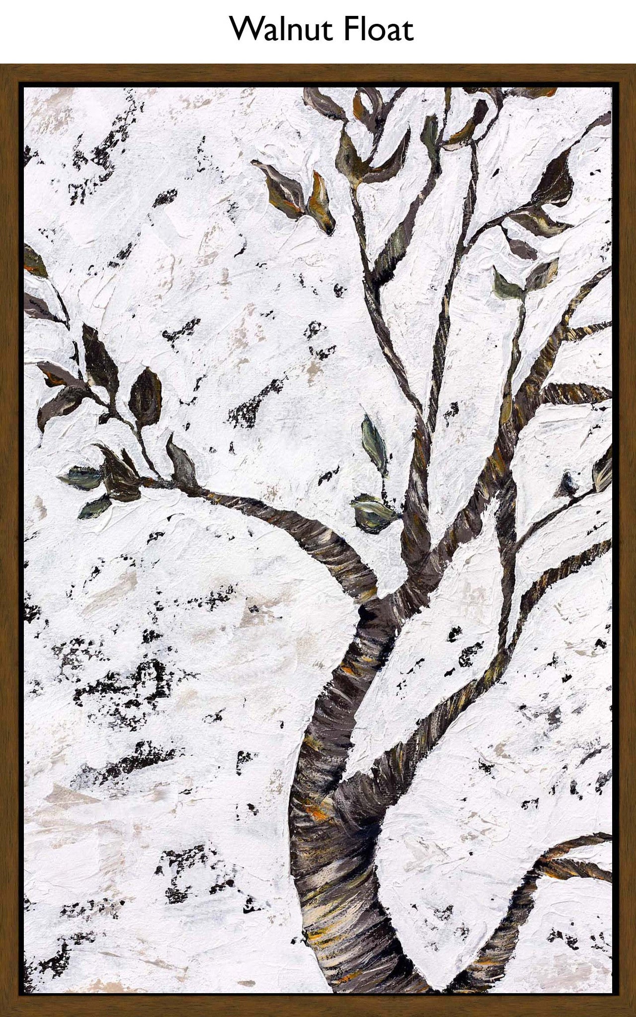 Walnut Float