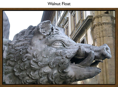 Walnut Float