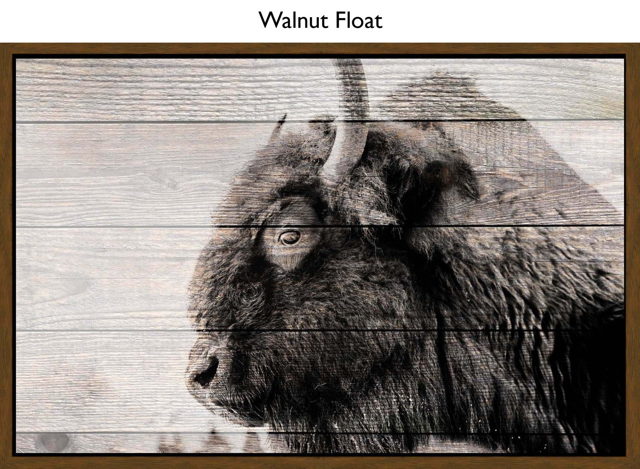 Walnut Float