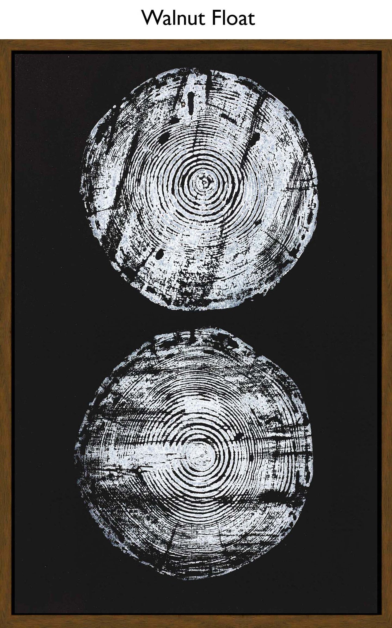 Walnut Float