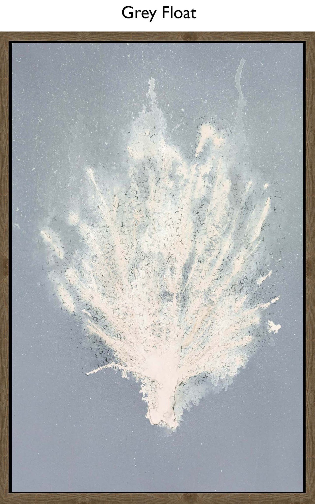 Grey Float