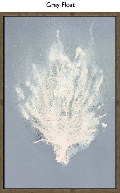 Grey Float