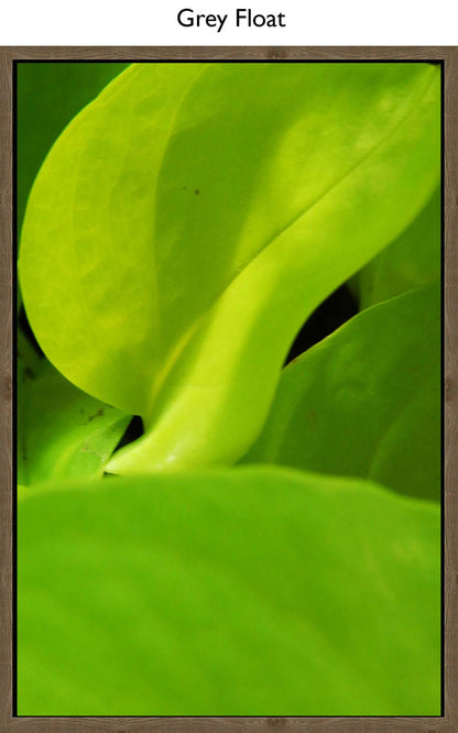 Grey Float