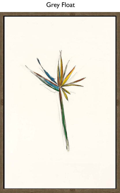 Grey Float