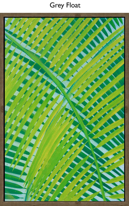Grey Float