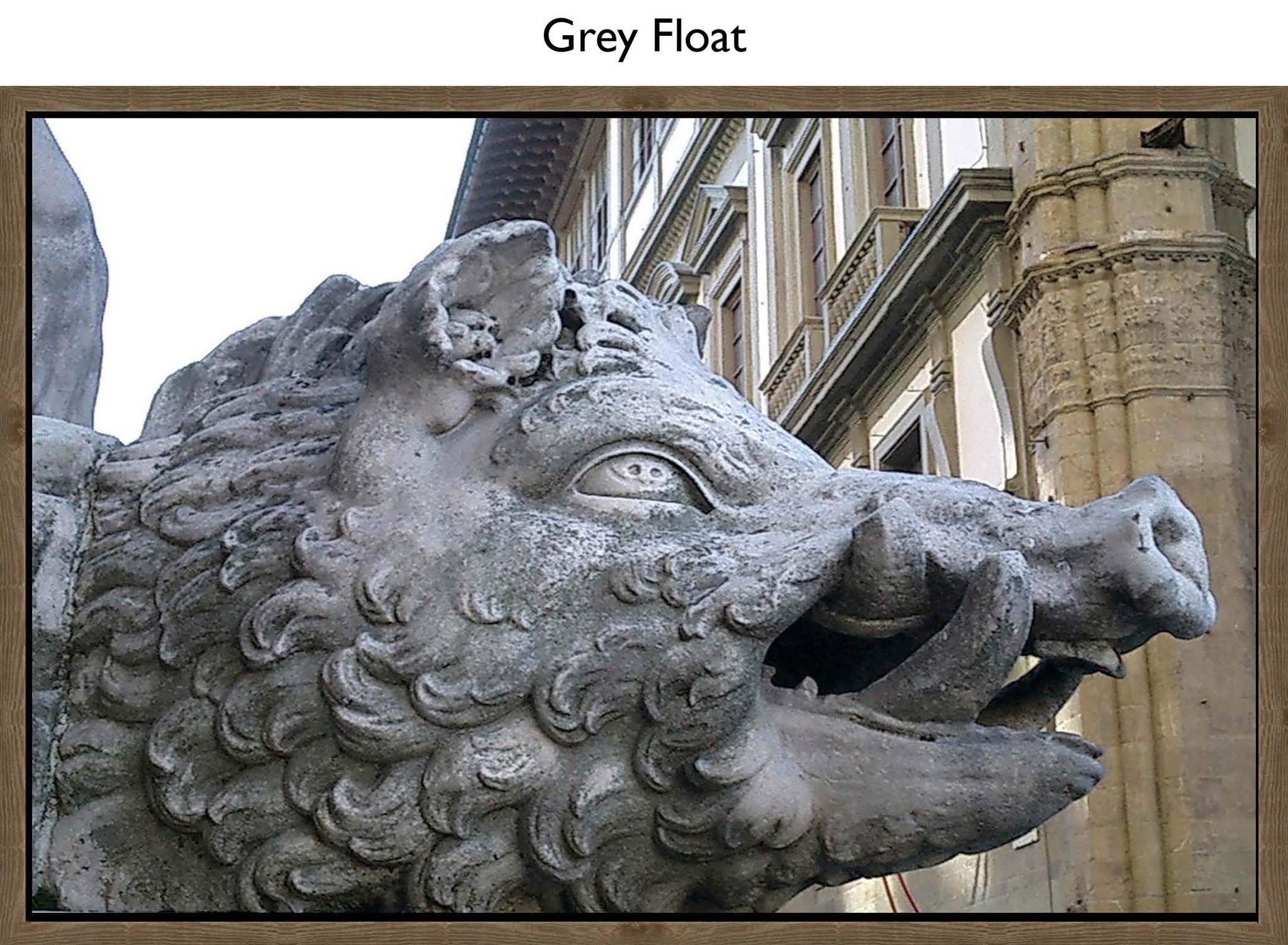 Grey Float