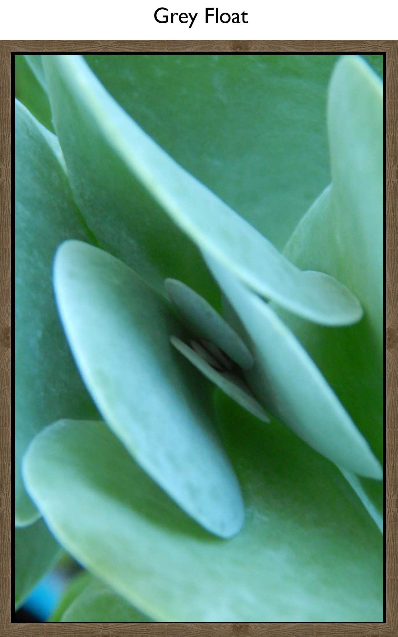 Grey Float
