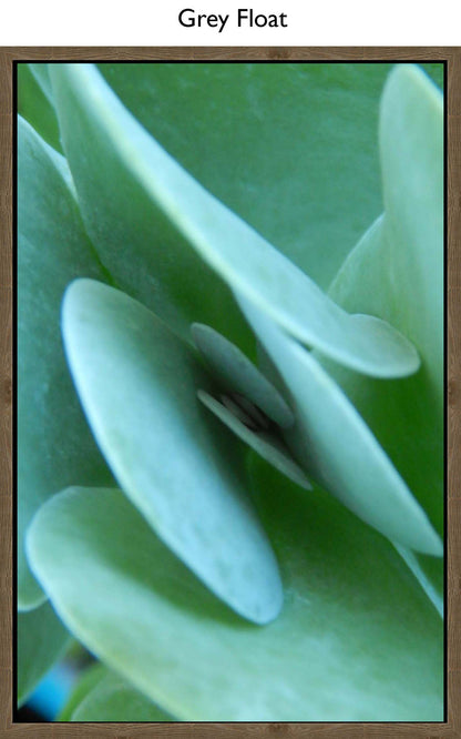 Grey Float