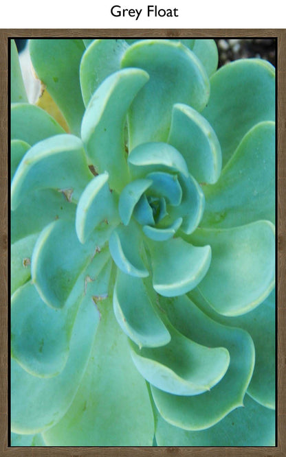Grey Float