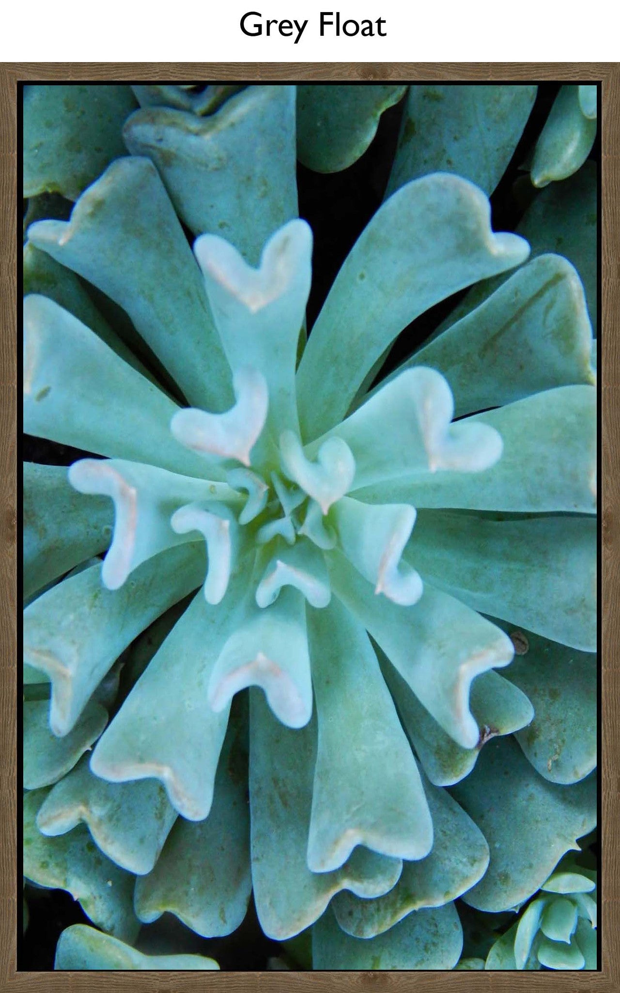 Grey Float
