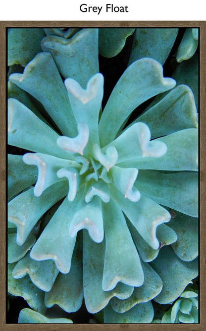 Grey Float