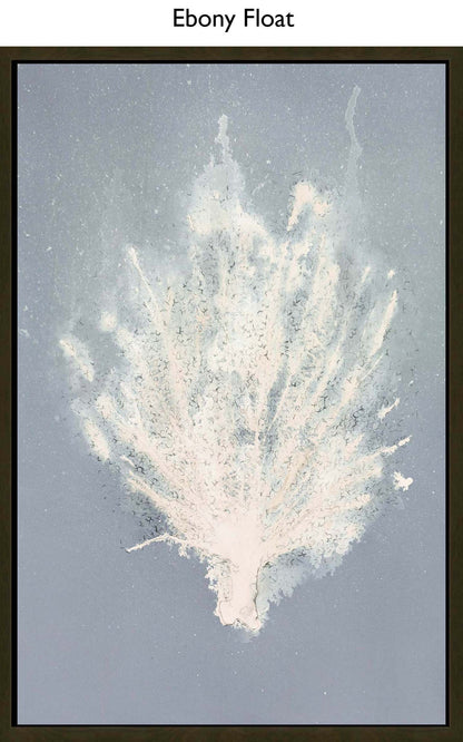 Ebony Float