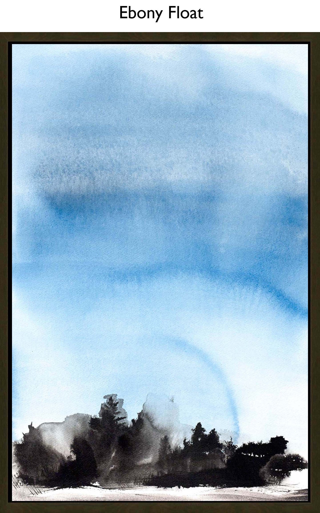 Ebony Float