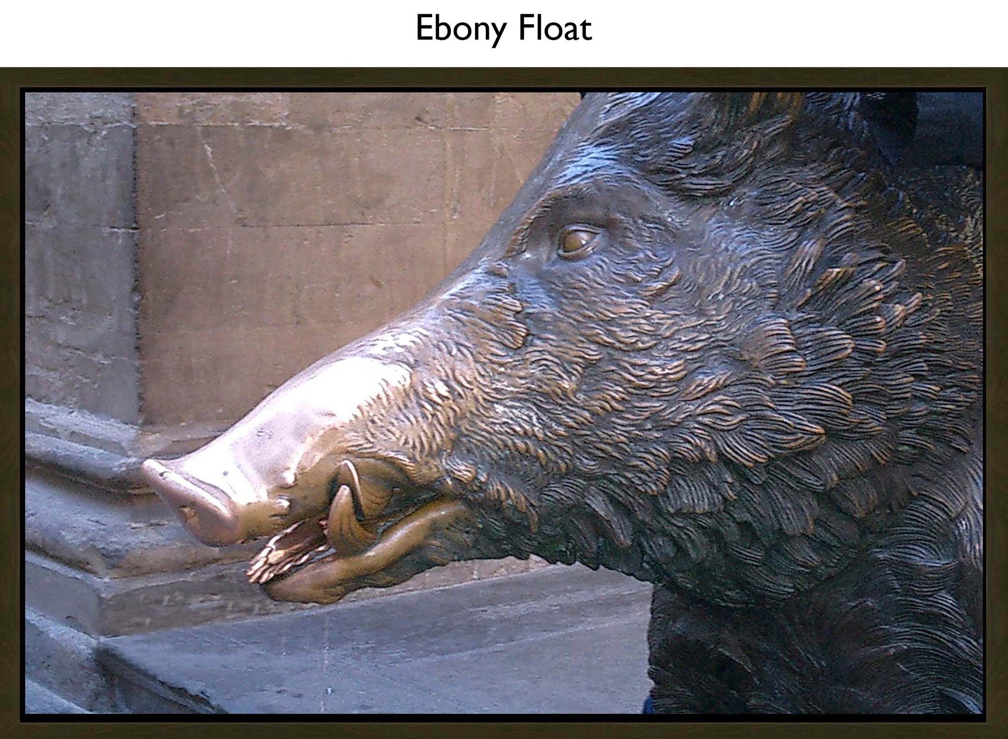 Ebony Float