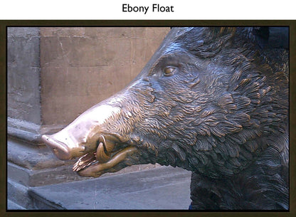 Ebony Float