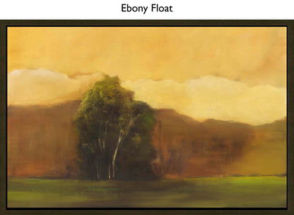 Ebony Float