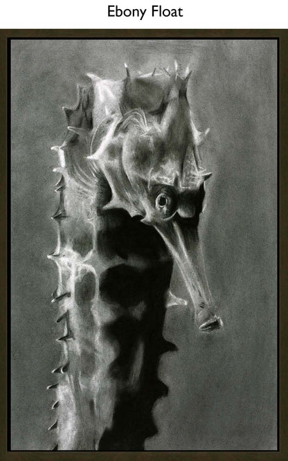 Ebony Float