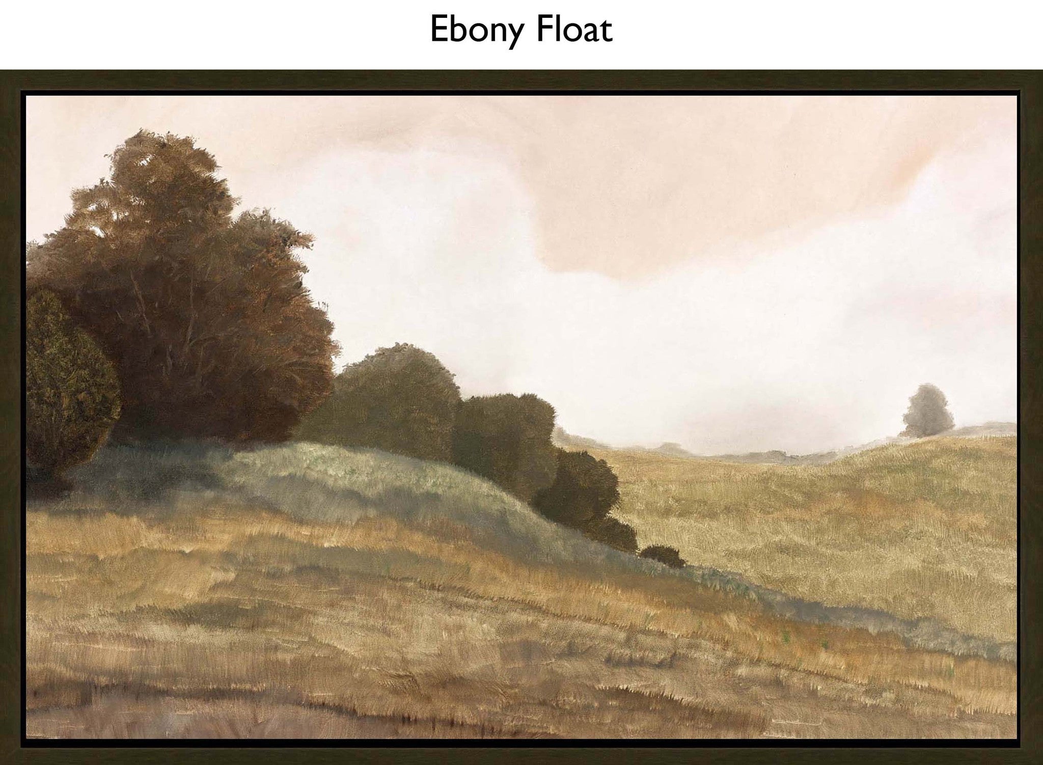 Ebony Float