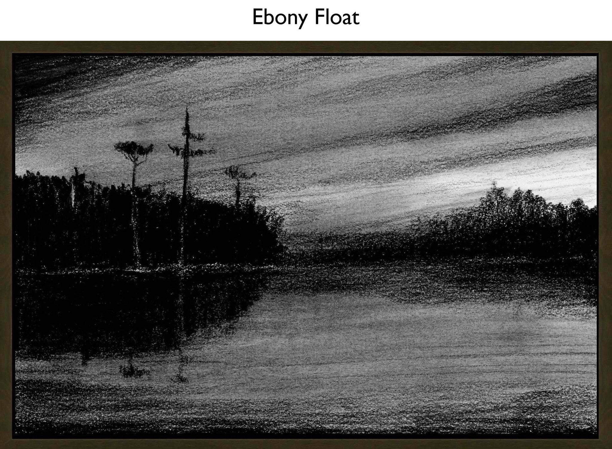 Ebony Float