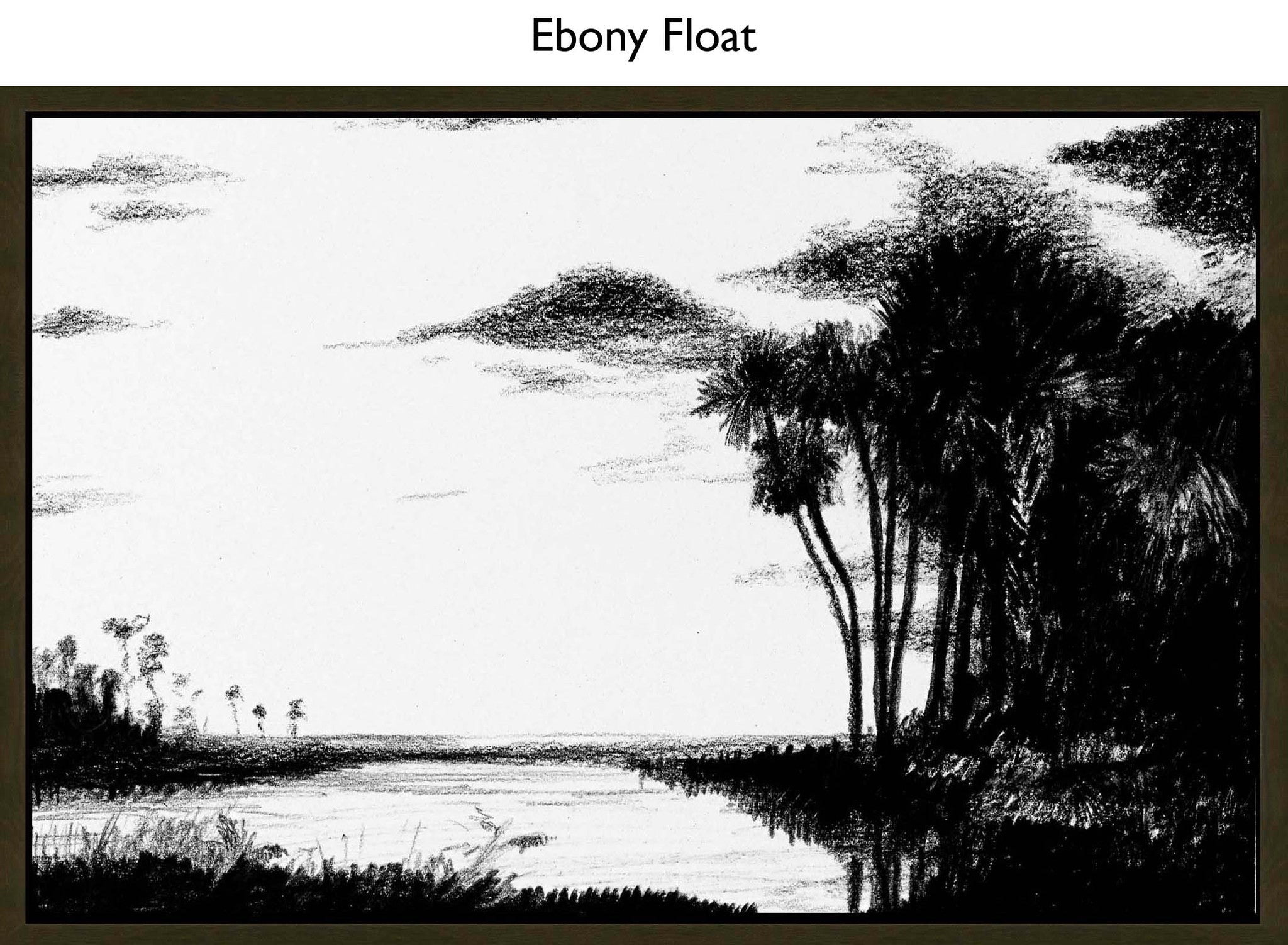 Ebony Float