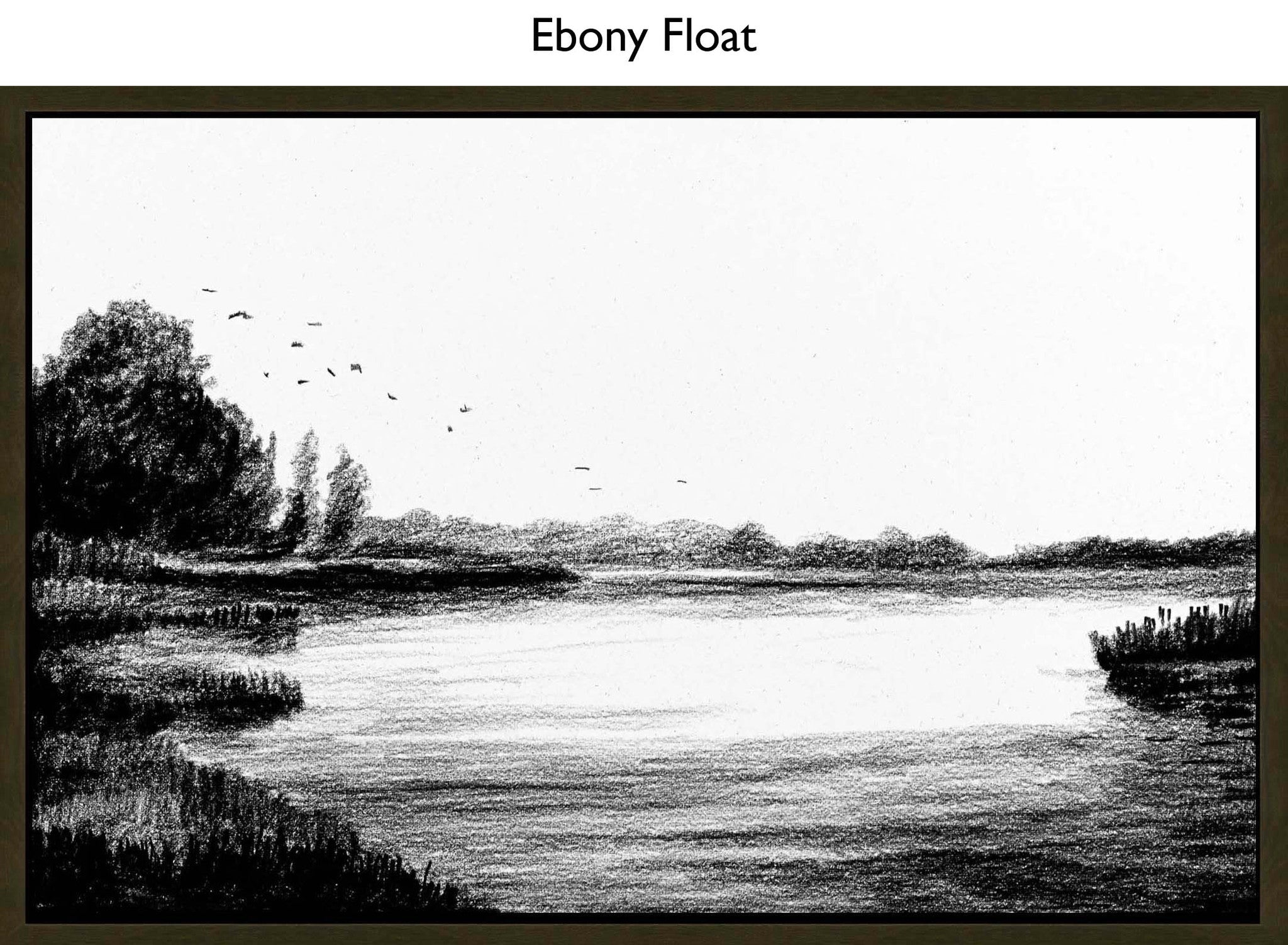 Ebony Float