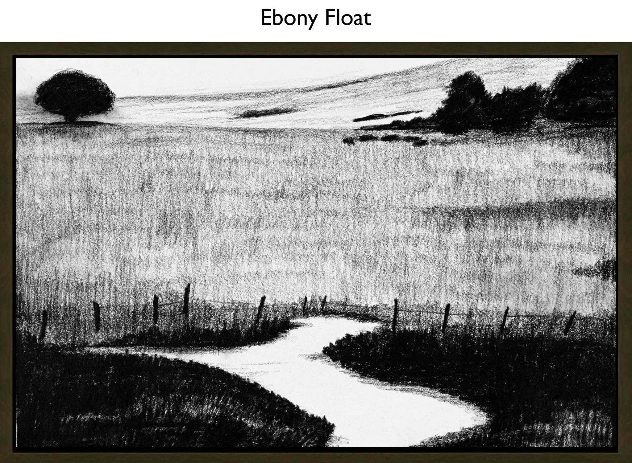 Ebony Float