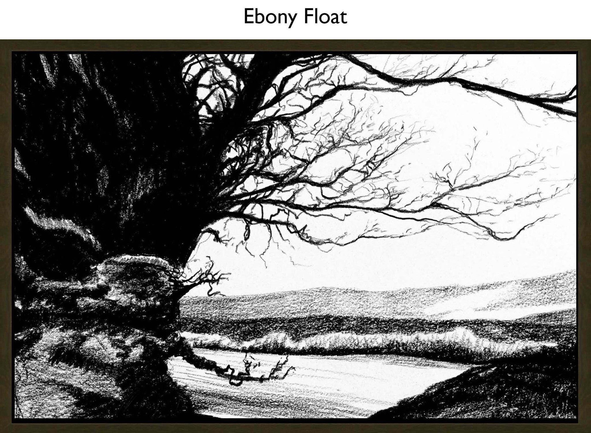 Ebony Float