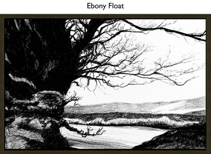 Ebony Float
